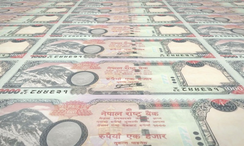 ६४ वर्ष पछि फेला पर्यो अनौठो चरा, आधा मानिस, आधा पंक्षी !