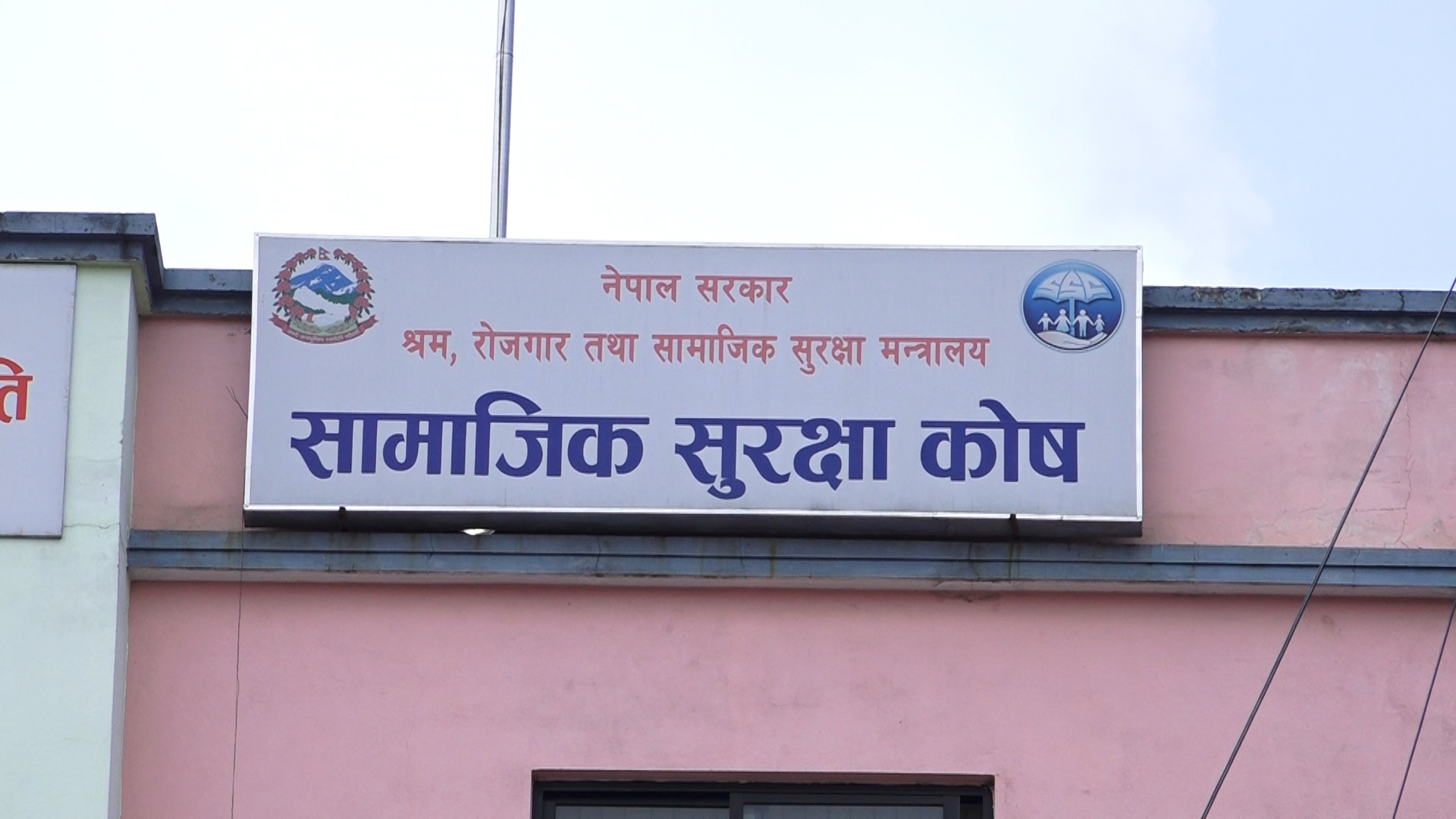६४ वर्ष पछि फेला पर्यो अनौठो चरा, आधा मानिस, आधा पंक्षी !
