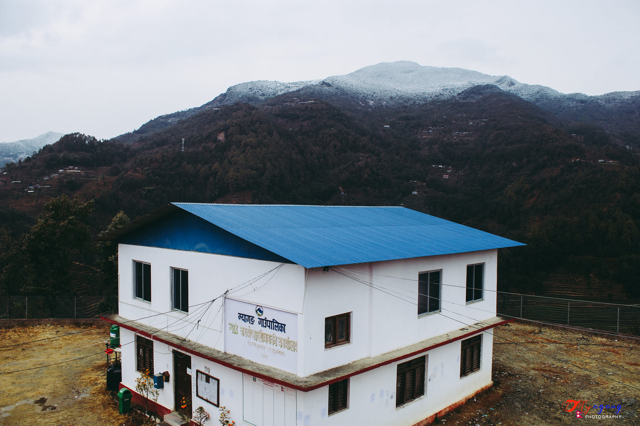 ६४ वर्ष पछि फेला पर्यो अनौठो चरा, आधा मानिस, आधा पंक्षी !