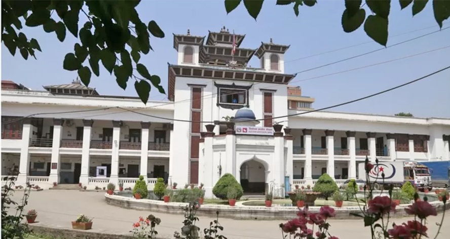 ६४ वर्ष पछि फेला पर्यो अनौठो चरा, आधा मानिस, आधा पंक्षी !