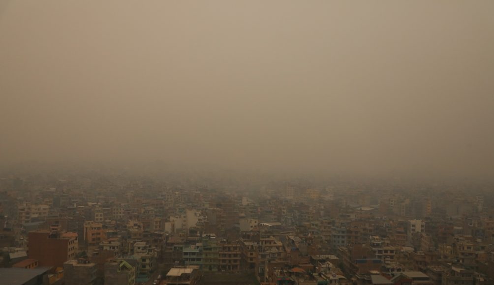 ६४ वर्ष पछि फेला पर्यो अनौठो चरा, आधा मानिस, आधा पंक्षी !