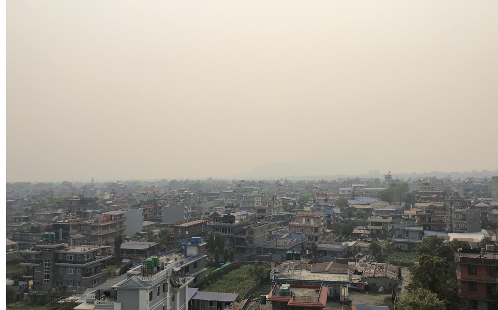 ६४ वर्ष पछि फेला पर्यो अनौठो चरा, आधा मानिस, आधा पंक्षी !