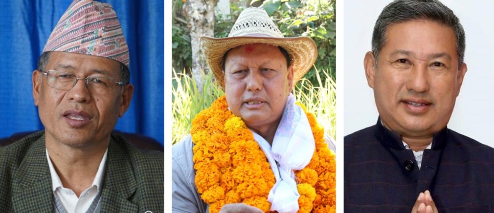 ६४ वर्ष पछि फेला पर्यो अनौठो चरा, आधा मानिस, आधा पंक्षी !