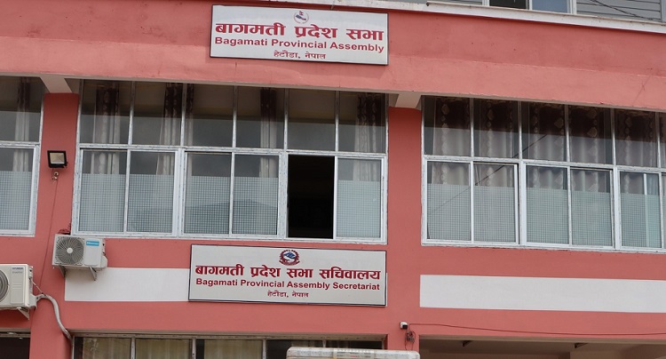 ६४ वर्ष पछि फेला पर्यो अनौठो चरा, आधा मानिस, आधा पंक्षी !