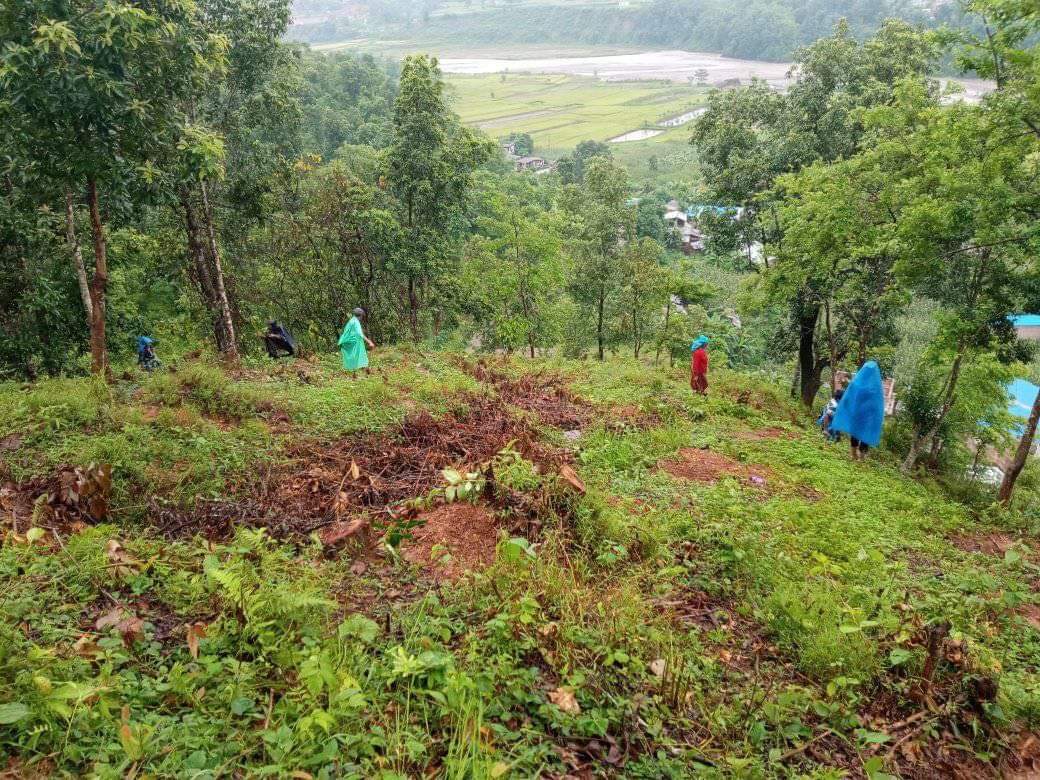 ६४ वर्ष पछि फेला पर्यो अनौठो चरा, आधा मानिस, आधा पंक्षी !