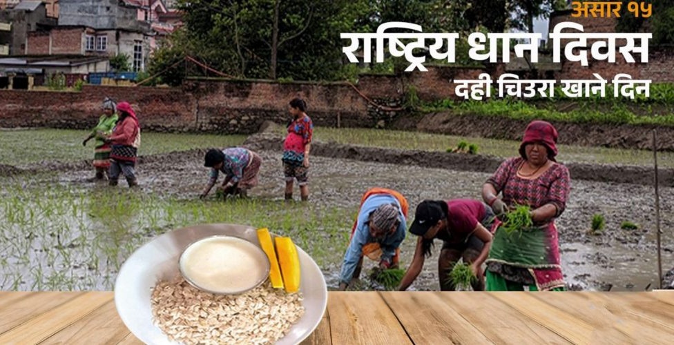 ६४ वर्ष पछि फेला पर्यो अनौठो चरा, आधा मानिस, आधा पंक्षी !
