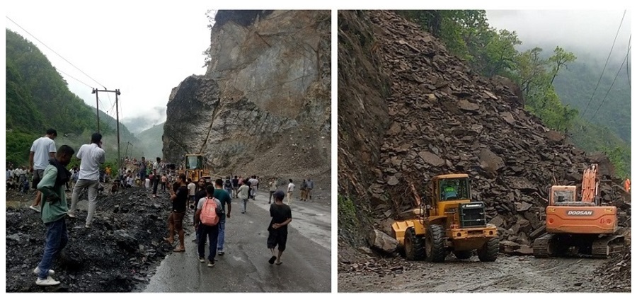 ६४ वर्ष पछि फेला पर्यो अनौठो चरा, आधा मानिस, आधा पंक्षी !