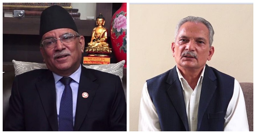६४ वर्ष पछि फेला पर्यो अनौठो चरा, आधा मानिस, आधा पंक्षी !
