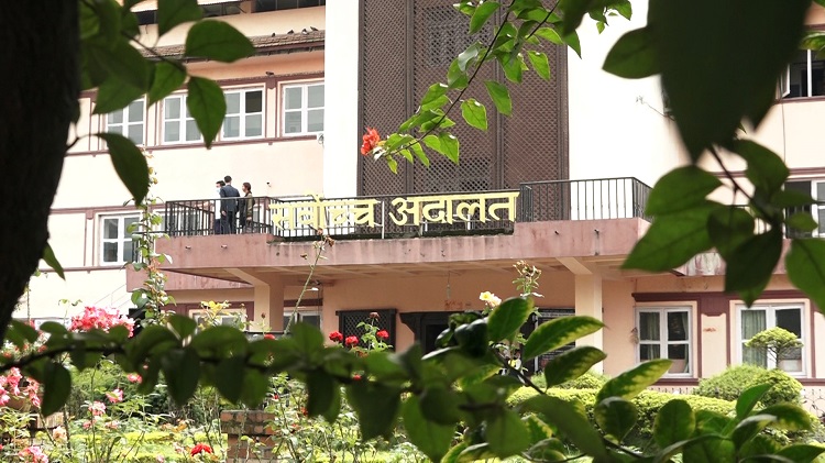 ६४ वर्ष पछि फेला पर्यो अनौठो चरा, आधा मानिस, आधा पंक्षी !