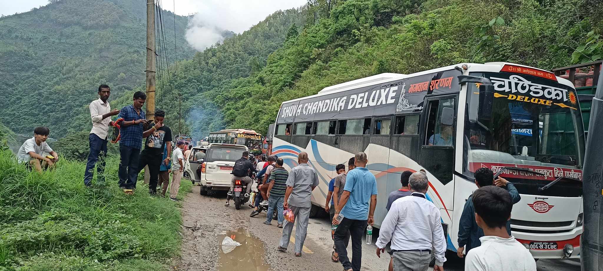 ६४ वर्ष पछि फेला पर्यो अनौठो चरा, आधा मानिस, आधा पंक्षी !