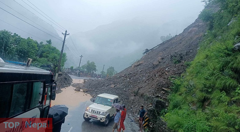 ६४ वर्ष पछि फेला पर्यो अनौठो चरा, आधा मानिस, आधा पंक्षी !