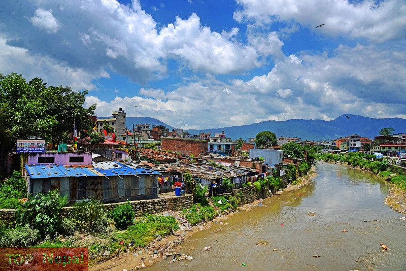 ६४ वर्ष पछि फेला पर्यो अनौठो चरा, आधा मानिस, आधा पंक्षी !