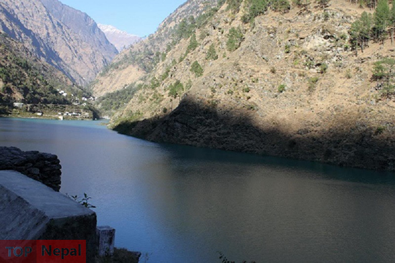 ६४ वर्ष पछि फेला पर्यो अनौठो चरा, आधा मानिस, आधा पंक्षी !