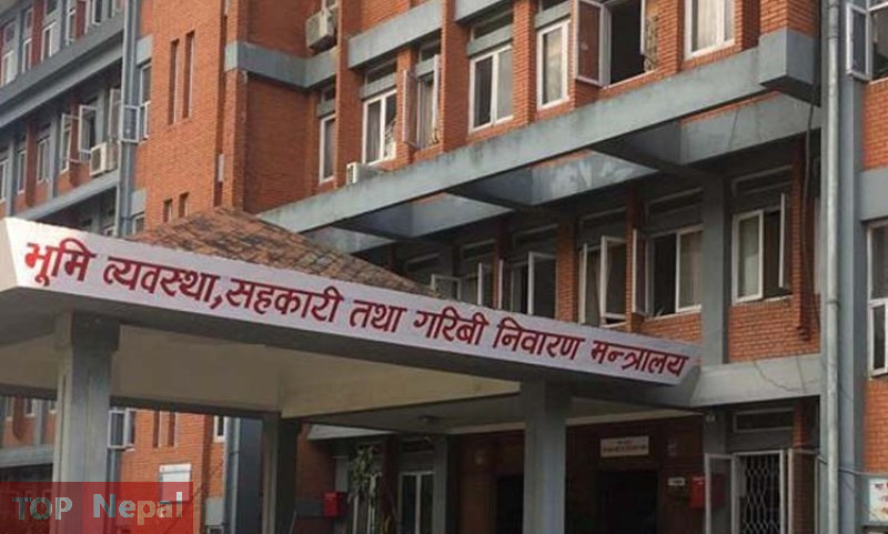 ६४ वर्ष पछि फेला पर्यो अनौठो चरा, आधा मानिस, आधा पंक्षी !