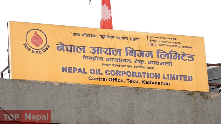 ६४ वर्ष पछि फेला पर्यो अनौठो चरा, आधा मानिस, आधा पंक्षी !