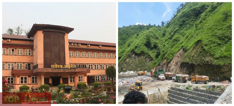 ६४ वर्ष पछि फेला पर्यो अनौठो चरा, आधा मानिस, आधा पंक्षी !