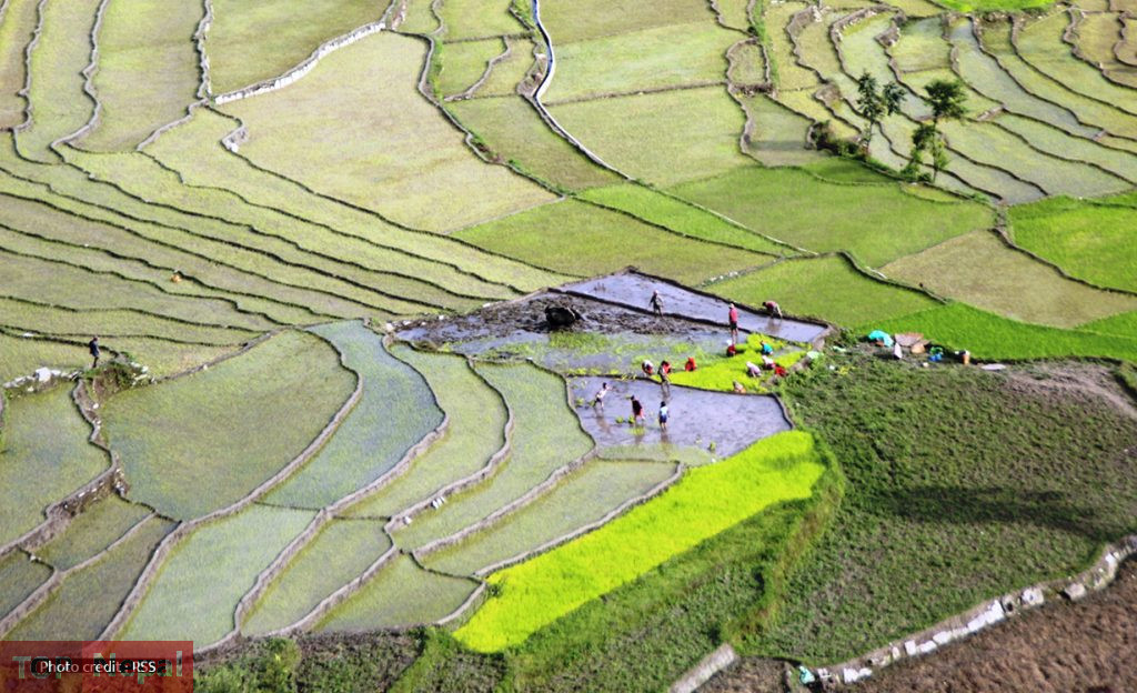 ६४ वर्ष पछि फेला पर्यो अनौठो चरा, आधा मानिस, आधा पंक्षी !