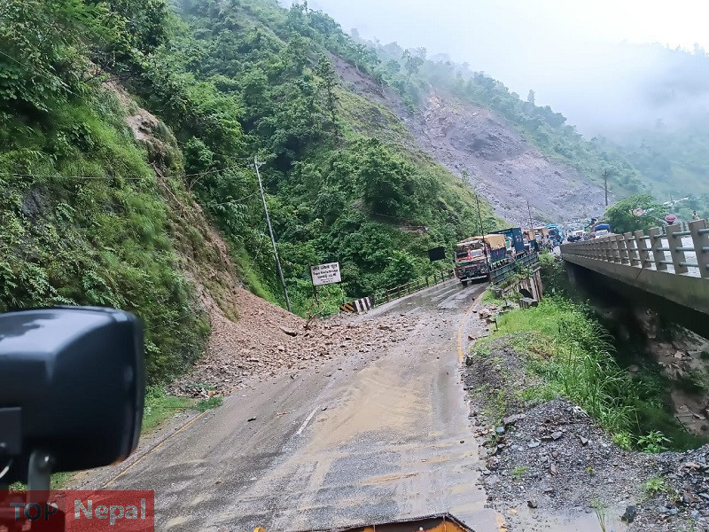 ६४ वर्ष पछि फेला पर्यो अनौठो चरा, आधा मानिस, आधा पंक्षी !