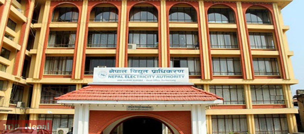 ६४ वर्ष पछि फेला पर्यो अनौठो चरा, आधा मानिस, आधा पंक्षी !