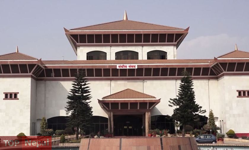 ६४ वर्ष पछि फेला पर्यो अनौठो चरा, आधा मानिस, आधा पंक्षी !