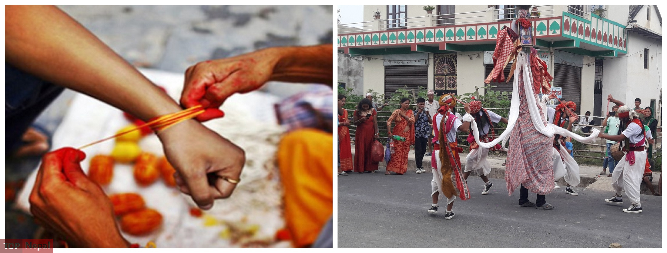 ६४ वर्ष पछि फेला पर्यो अनौठो चरा, आधा मानिस, आधा पंक्षी !