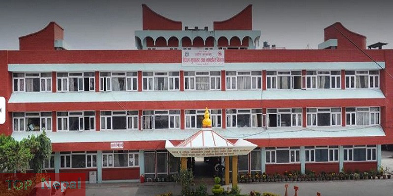 ६४ वर्ष पछि फेला पर्यो अनौठो चरा, आधा मानिस, आधा पंक्षी !