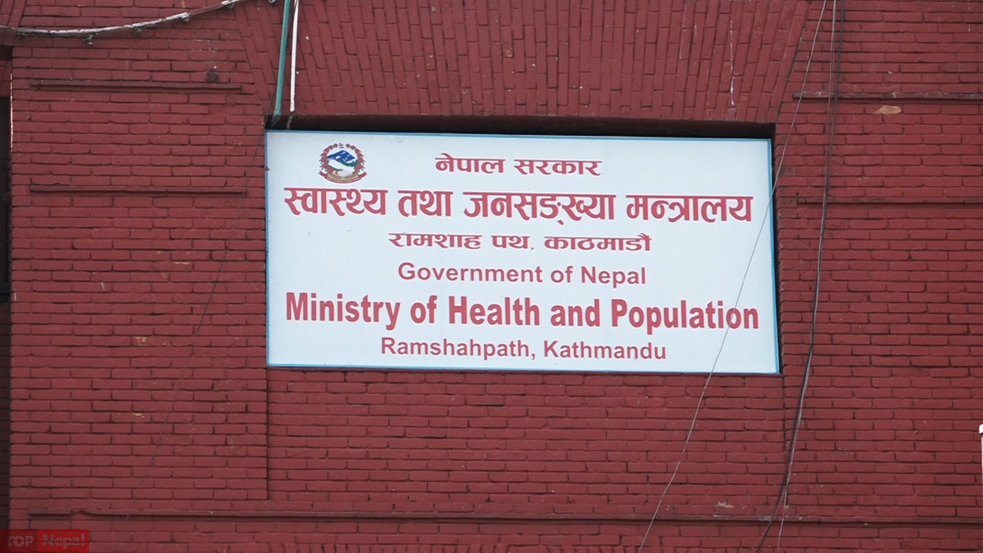 ६४ वर्ष पछि फेला पर्यो अनौठो चरा, आधा मानिस, आधा पंक्षी !