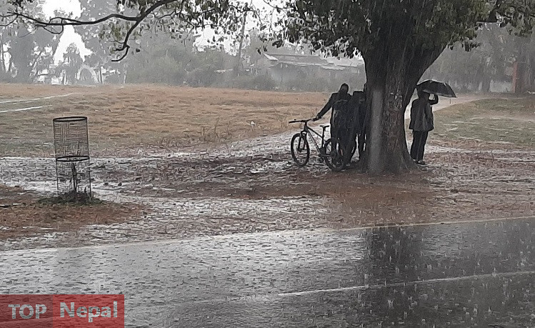 ६४ वर्ष पछि फेला पर्यो अनौठो चरा, आधा मानिस, आधा पंक्षी !
