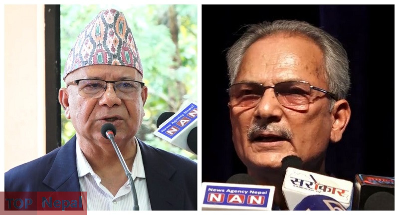 ६४ वर्ष पछि फेला पर्यो अनौठो चरा, आधा मानिस, आधा पंक्षी !
