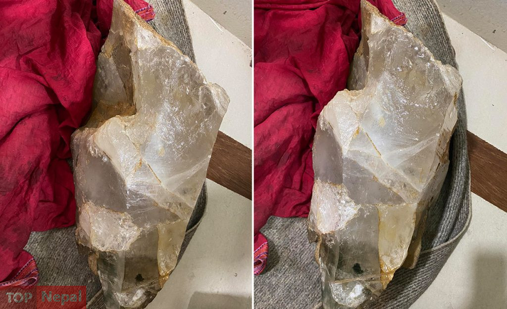 ६४ वर्ष पछि फेला पर्यो अनौठो चरा, आधा मानिस, आधा पंक्षी !