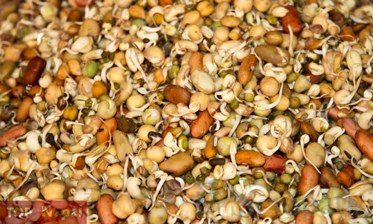 ६४ वर्ष पछि फेला पर्यो अनौठो चरा, आधा मानिस, आधा पंक्षी !