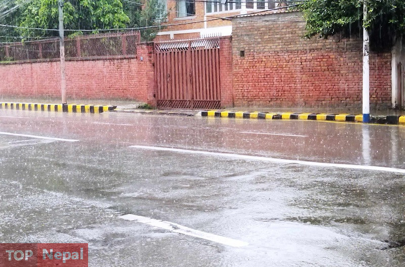 ६४ वर्ष पछि फेला पर्यो अनौठो चरा, आधा मानिस, आधा पंक्षी !