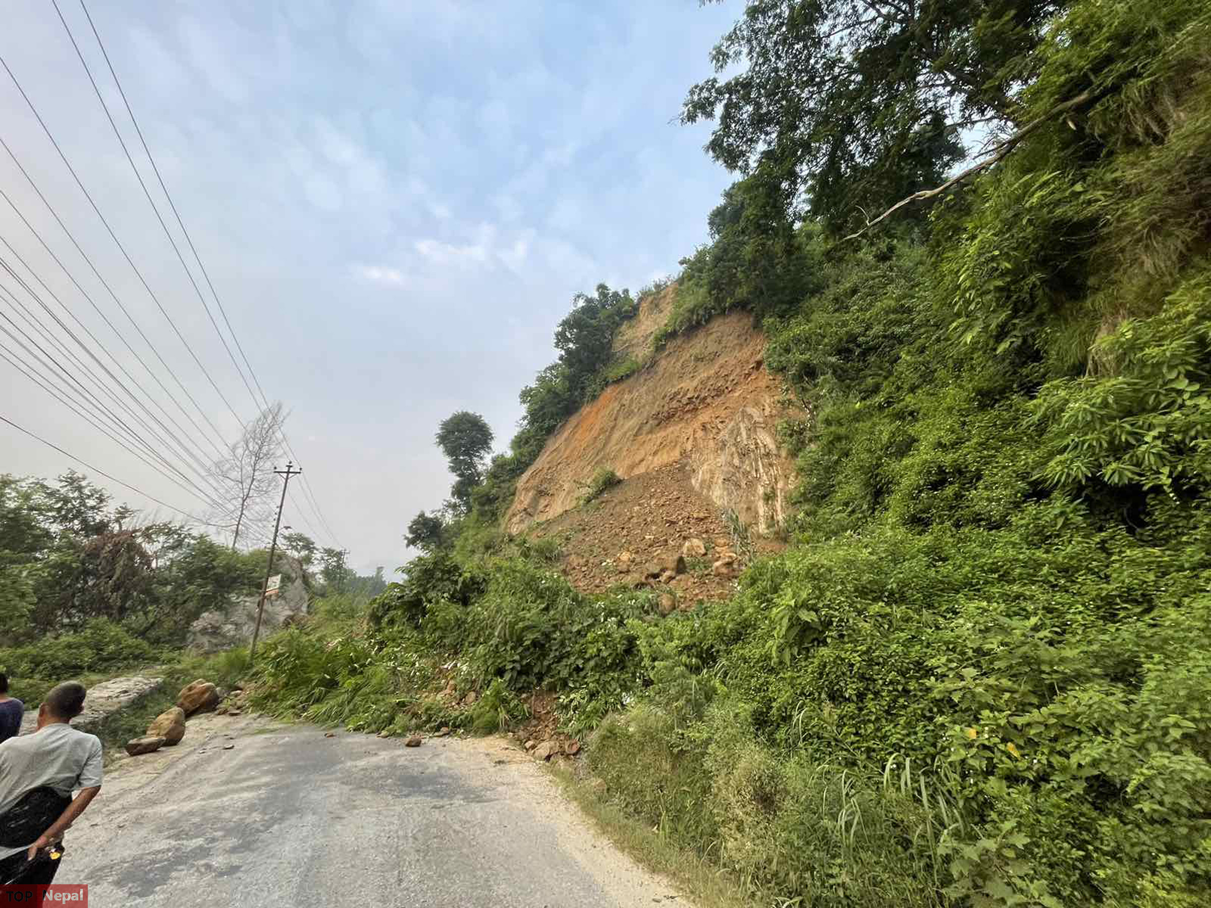 ६४ वर्ष पछि फेला पर्यो अनौठो चरा, आधा मानिस, आधा पंक्षी !