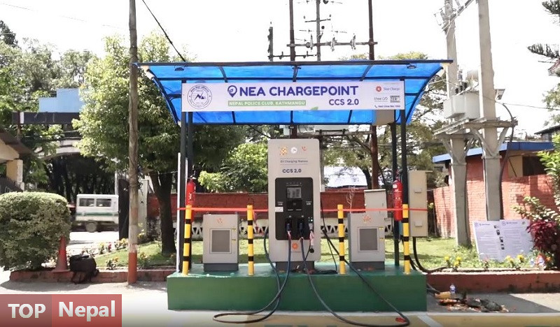 ६४ वर्ष पछि फेला पर्यो अनौठो चरा, आधा मानिस, आधा पंक्षी !