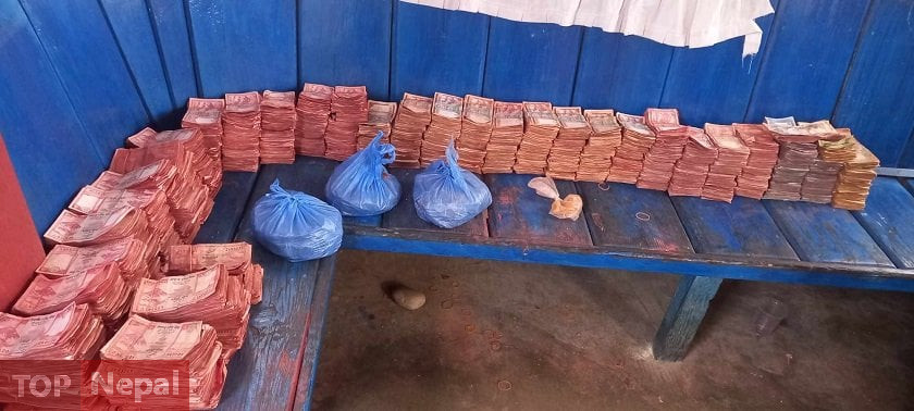 ६४ वर्ष पछि फेला पर्यो अनौठो चरा, आधा मानिस, आधा पंक्षी !