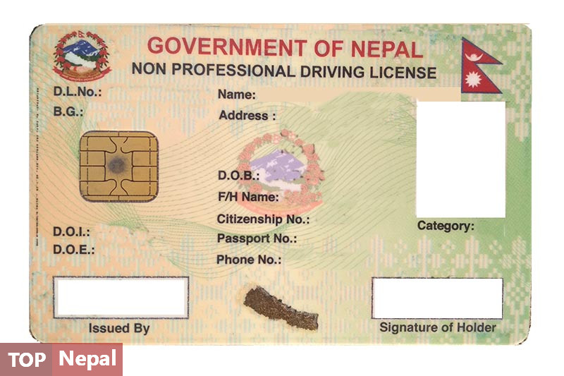 ६४ वर्ष पछि फेला पर्यो अनौठो चरा, आधा मानिस, आधा पंक्षी !