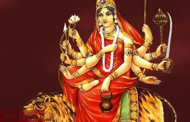 ६४ वर्ष पछि फेला पर्यो अनौठो चरा, आधा मानिस, आधा पंक्षी !
