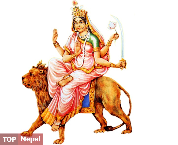६४ वर्ष पछि फेला पर्यो अनौठो चरा, आधा मानिस, आधा पंक्षी !
