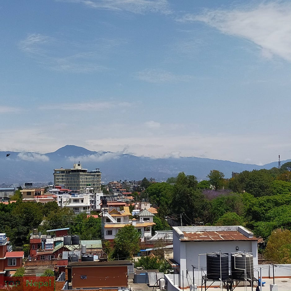 ६४ वर्ष पछि फेला पर्यो अनौठो चरा, आधा मानिस, आधा पंक्षी !