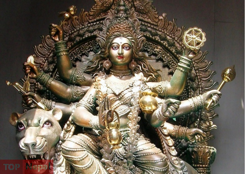 ६४ वर्ष पछि फेला पर्यो अनौठो चरा, आधा मानिस, आधा पंक्षी !