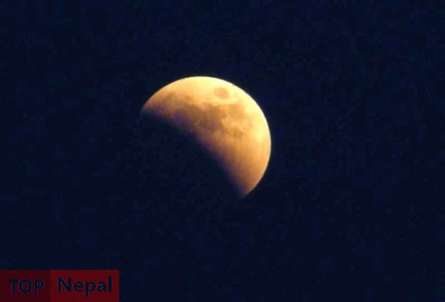 ६४ वर्ष पछि फेला पर्यो अनौठो चरा, आधा मानिस, आधा पंक्षी !