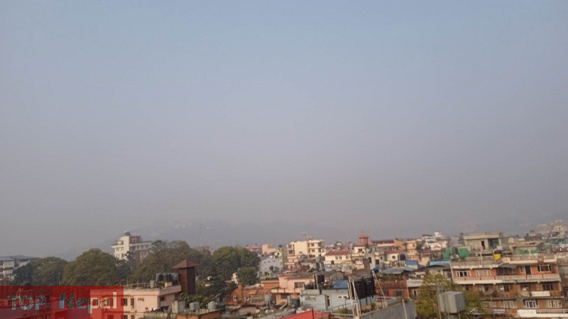 ६४ वर्ष पछि फेला पर्यो अनौठो चरा, आधा मानिस, आधा पंक्षी !