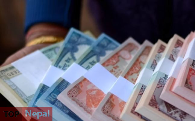 ६४ वर्ष पछि फेला पर्यो अनौठो चरा, आधा मानिस, आधा पंक्षी !