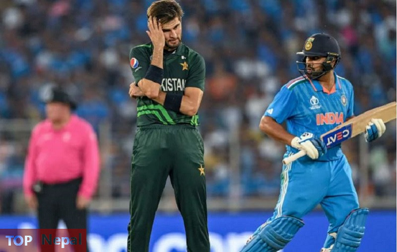 ६४ वर्ष पछि फेला पर्यो अनौठो चरा, आधा मानिस, आधा पंक्षी !