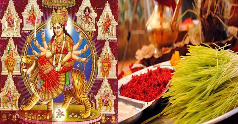 ६४ वर्ष पछि फेला पर्यो अनौठो चरा, आधा मानिस, आधा पंक्षी !
