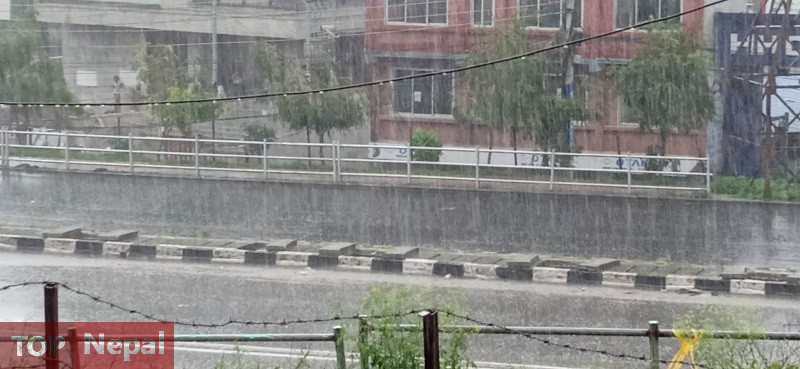 ६४ वर्ष पछि फेला पर्यो अनौठो चरा, आधा मानिस, आधा पंक्षी !