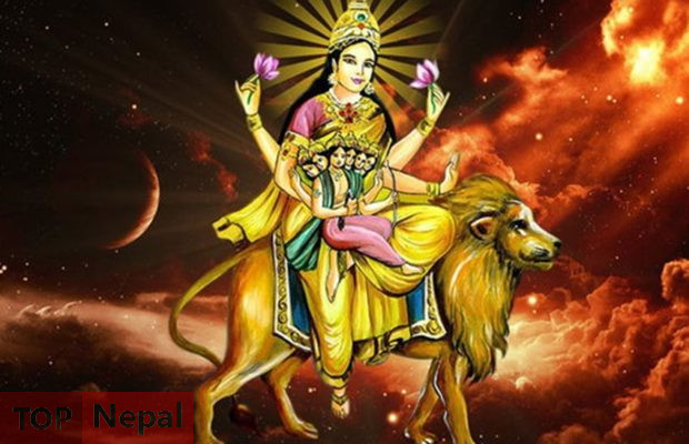 ६४ वर्ष पछि फेला पर्यो अनौठो चरा, आधा मानिस, आधा पंक्षी !