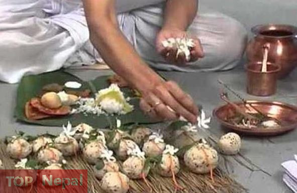 ६४ वर्ष पछि फेला पर्यो अनौठो चरा, आधा मानिस, आधा पंक्षी !