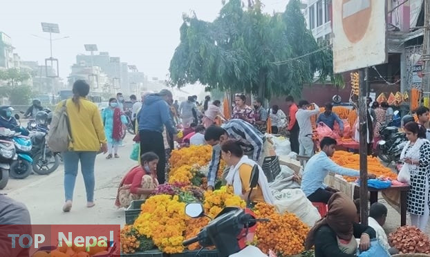 ६४ वर्ष पछि फेला पर्यो अनौठो चरा, आधा मानिस, आधा पंक्षी !