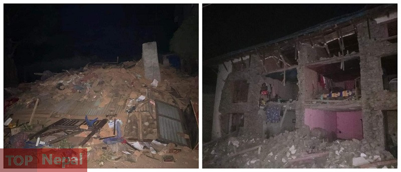 ६४ वर्ष पछि फेला पर्यो अनौठो चरा, आधा मानिस, आधा पंक्षी !